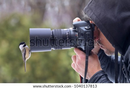 Nature photographer photographing birds