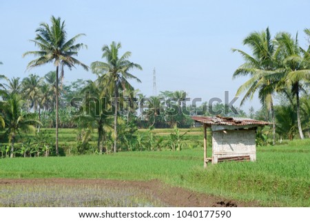 Bamboo house in the middle of the field