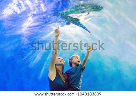 Mother and son looking at fish in a tunnel aquarium