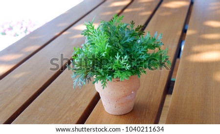 A small tree in a clay pot.