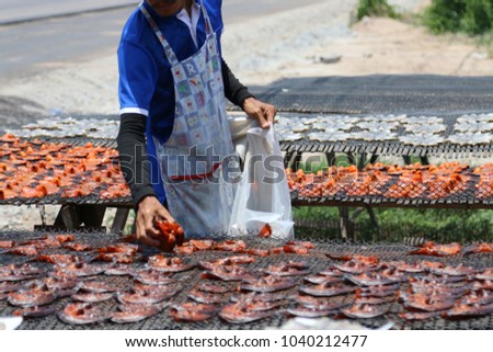 dried fish , Bang Bo Samut Prakan
