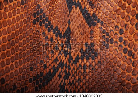 Brown snake skin pattern - natural background