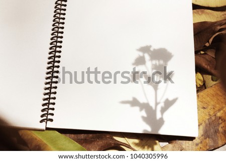 Blank notepad with flower shadow on dry leaf background