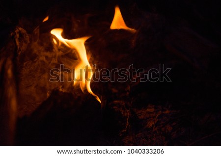 Real fire flame with black textured background
