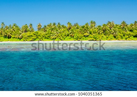 Tropical vacation beach background in Maldives