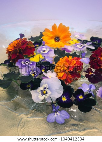 Decorate with flowers in water. Violets in various colors, Marigolds and Clover at this water filled dish. 