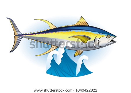 Vector color image of a tuna fish on white background