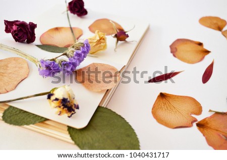 Composition with flowers and dry up plants on notebooks on bright  table, close up