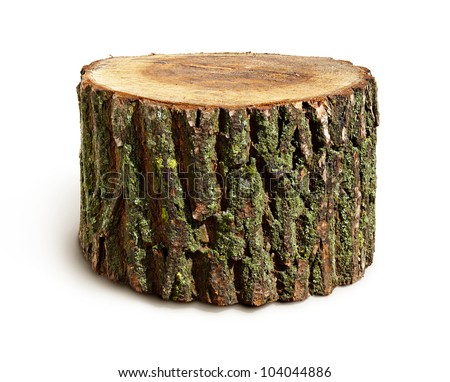 Stump isolated Royalty-Free Stock Photo #104044886