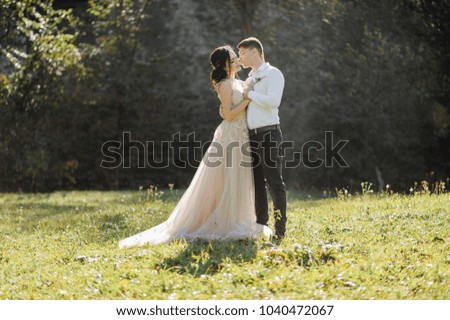 the bride and groom on the sunny glade.
