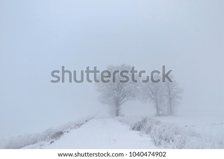 Lithuania landscape .Foggy winter day