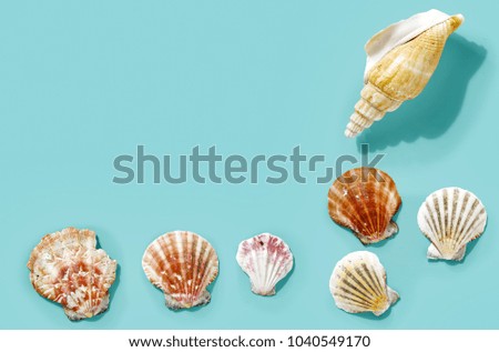 Shell decoration on blue flat background. Free space for your text or product. 