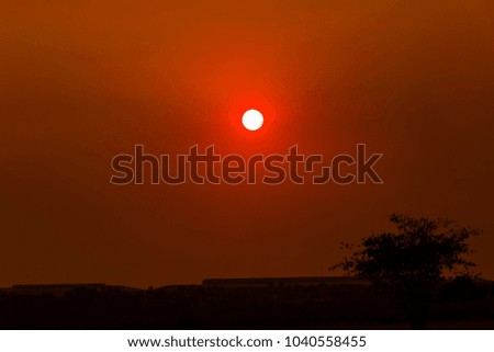 landscape Sunset with tree