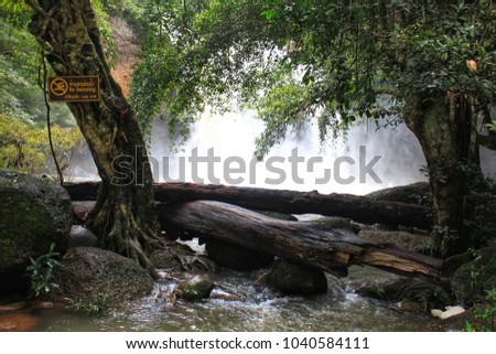 Waterfall with big trees in Khao Yai National Park. Nakhon Ratchasima, Thailand.