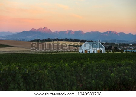 Vineyards landscape near Cape Town, South Africa Royalty-Free Stock Photo #1040589706
