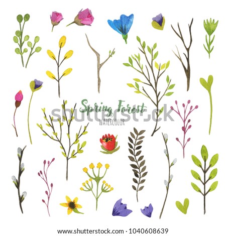 Set with branches, leaves and flowers isolated on white background. Spring collection. Real watercolor painting. For design, print, pattern and more