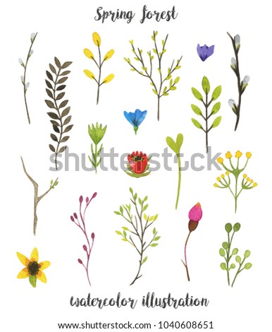 Set with spring leaves and flowers isolated on white background