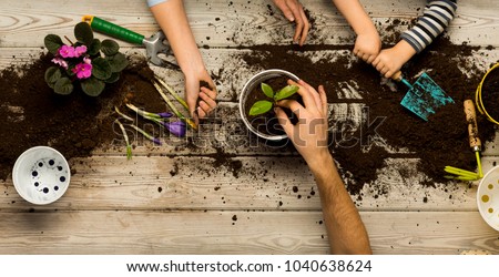 Family sits flowers in a pot. Spring and hobbies, family grows flowers together. Beauty and nature. Hobby home for whole family, entertainment with children, development and education. Flower ground  Royalty-Free Stock Photo #1040638624