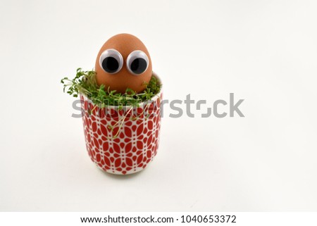 Funny Easter Egg stock images. Easter egg with eyes. Easter eggs on a white background. Spring decoration images. Easter decoration with cress