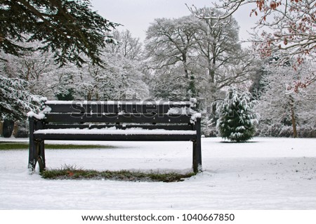Park Bench in a snowy park.