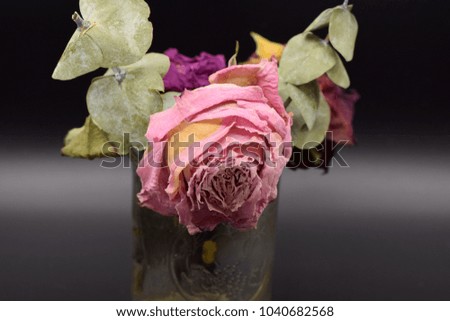 Dried roses and green leaves