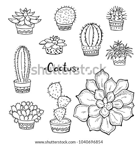 Set of cactus in a pot on a white background.  Flowers in the desert. Doodle. Vector illustration. Perfect for coloring book, greeting card, print.