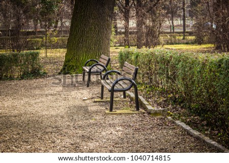 A peaceful scene with a park bench