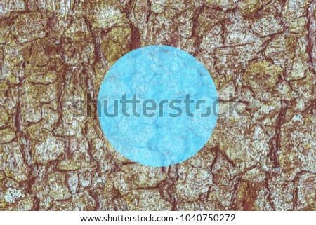 Texture of the bark of a pine. Bark of a coniferous tree.