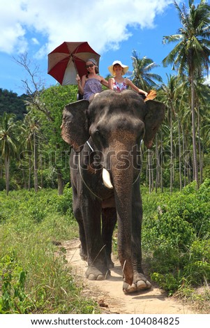 Young beautiful girls go on the elephant in jungle of island Samui, Thailand
