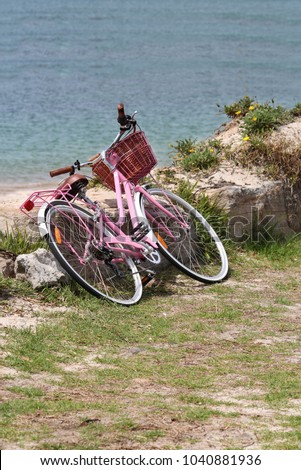 Pink bicycle parked on the grass by the sea. Silver beach, Sydney
