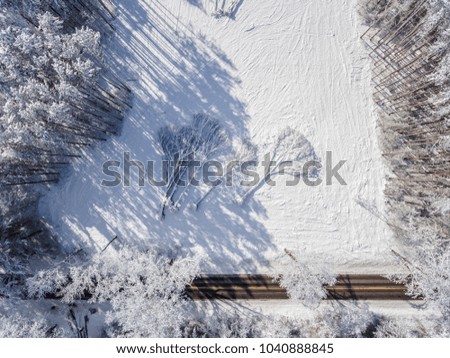 Aerial of Snow Covered Fallen Trees 