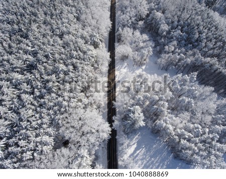 A Backroad Cutting Through A Snow Covered Forest 04