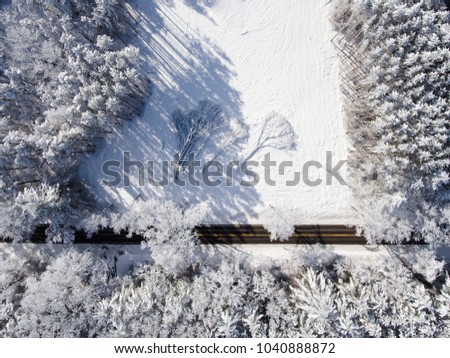 Aerial of Snow Covered Fallen Trees