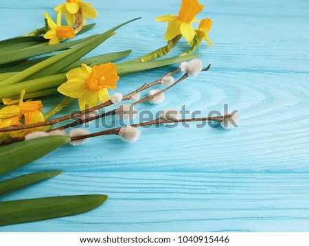 daffodils on a blue wooden background