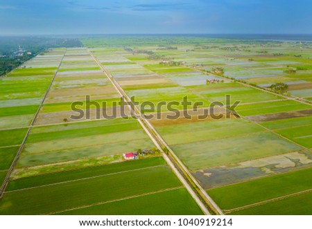 Aerial view of green paddy field at south east Asia