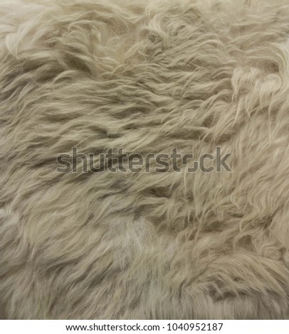 Fake Fur Texture for 3D 