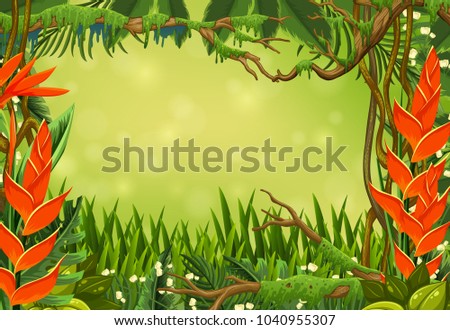 Border template with bird of paradise and grass illustration