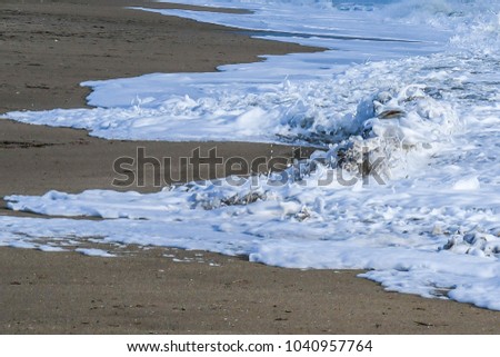 Foamy waves breaking on a Florida beach over a beached wrecked boat