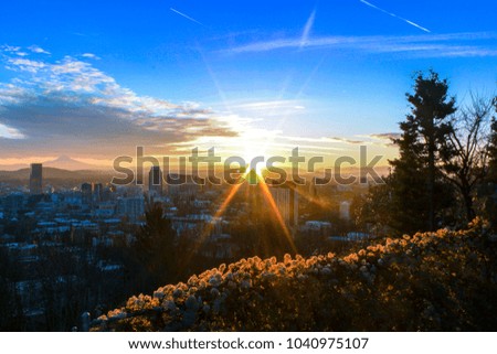 Winter sunrise over Portland Oregon with flowers in the foreground and mount hood in the fog off in the distance