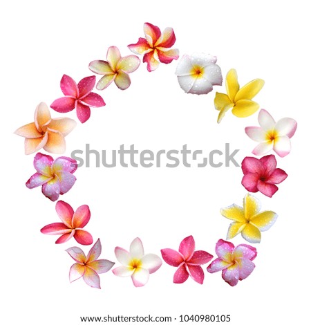 Plumeria shape pentagon on  white background, wedding invitation, pentagon shape, valentine day, frangipani, flat lay