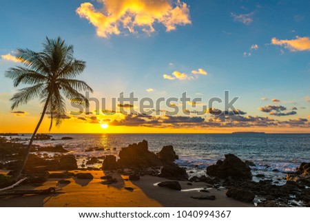 Sunset along the Pacific Ocean coast of Costa Rica with the silhouette of a palm tree inside Corcovado National park, Osa Peninsula, Central America. Royalty-Free Stock Photo #1040994367