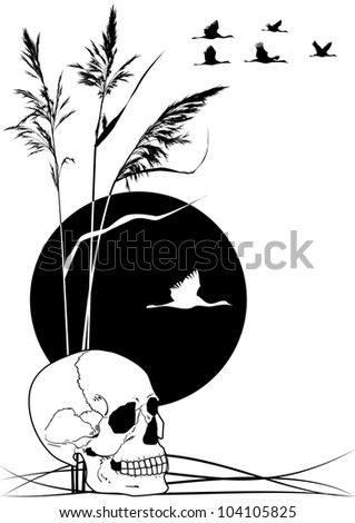 vector background with skull, cranes and reed in black and white colors