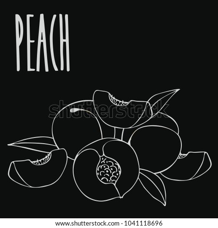 Isolate ripe peach fruit as chalk on blackboard. Close up clipart in chalkboard style. Hand drawn icon. Raster version of illustration