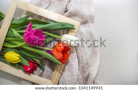 A set of tulips in a frame.  Spring flowers. Photo  bundle