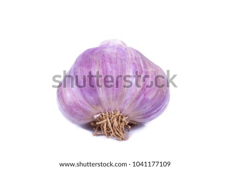 garlic isolated on white background .