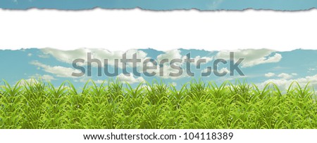 Grass and blank paper for text