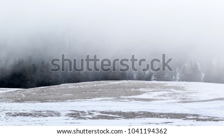 Beautiful foggy morning on a sunny day of winter on top of Hasmas mountains in Romania.