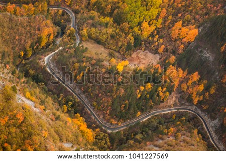 Aerial view of thick forest in autumn with road cutting through Royalty-Free Stock Photo #1041227569
