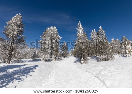 Winter hiking trail in Langis leads through a fresh snowy landscape in Switzerland