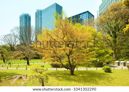 Hamarikyu (also Hama Rikyu) Gardens and modern skyscrapers of Shiodome Area, Chuo Ward, Tokyo, Kanto Region, Honshu, Japan